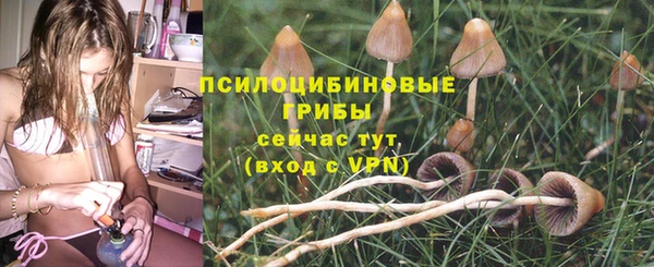 spice Балахна