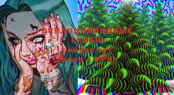 spice Балахна